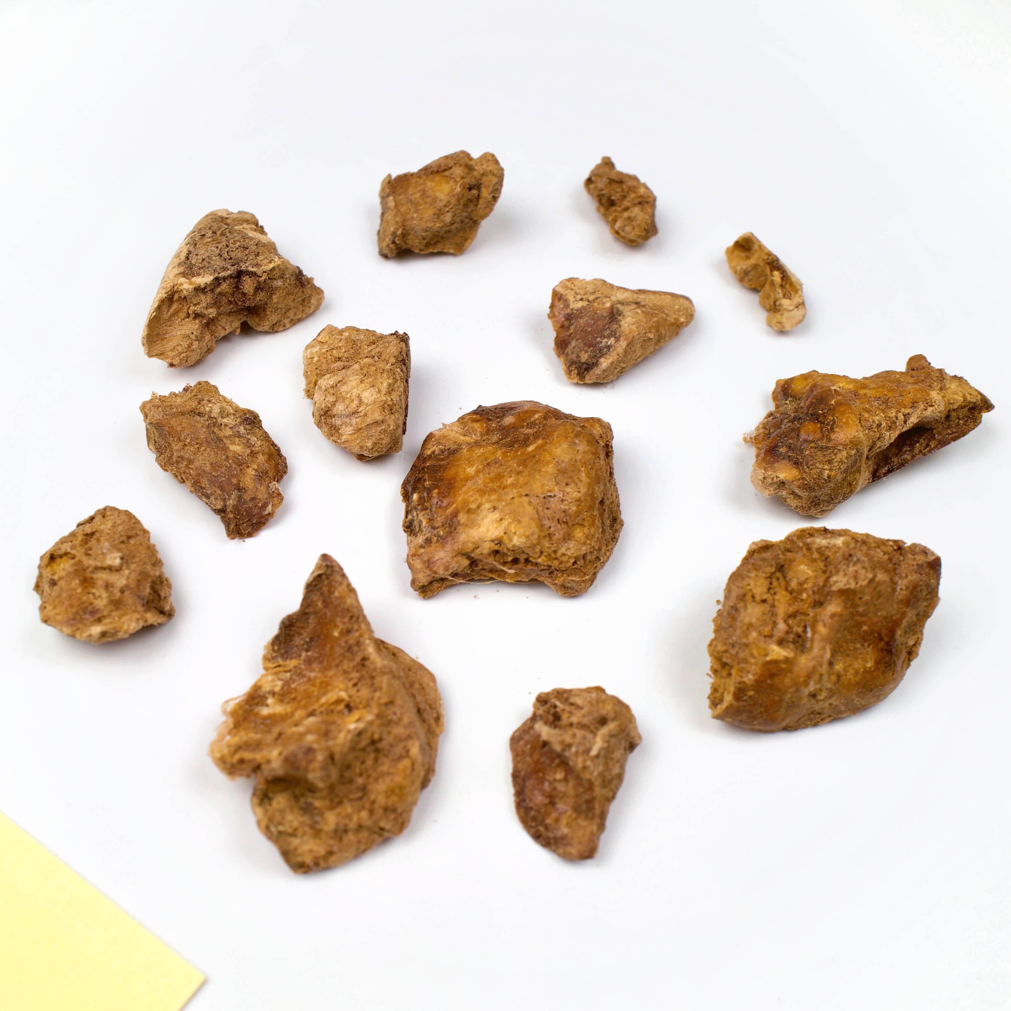 freeze dried chicken liver from wiggly babies