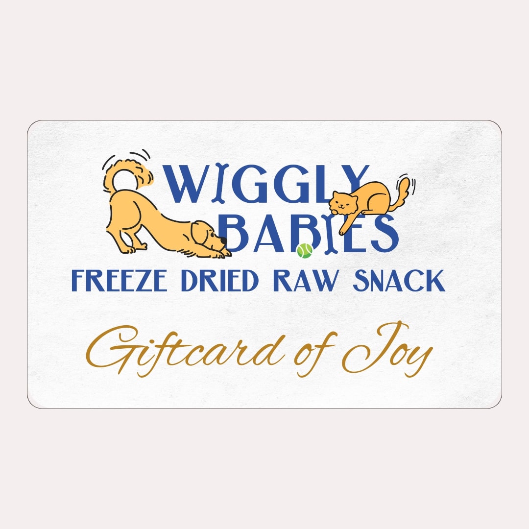 virtual gift card from wiggly babies