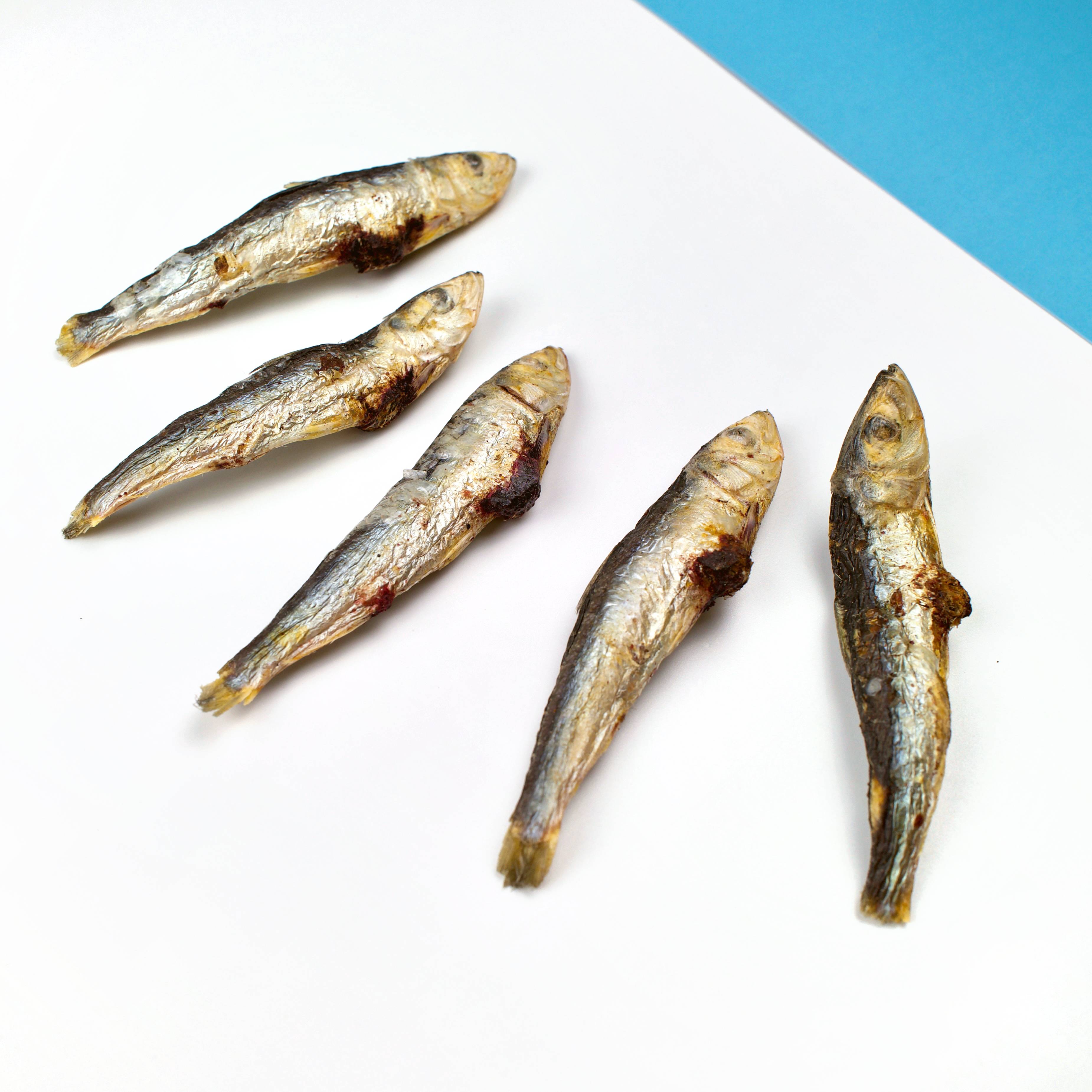 Wild Caught Sardine Freeze Dried Raw Snack Bites