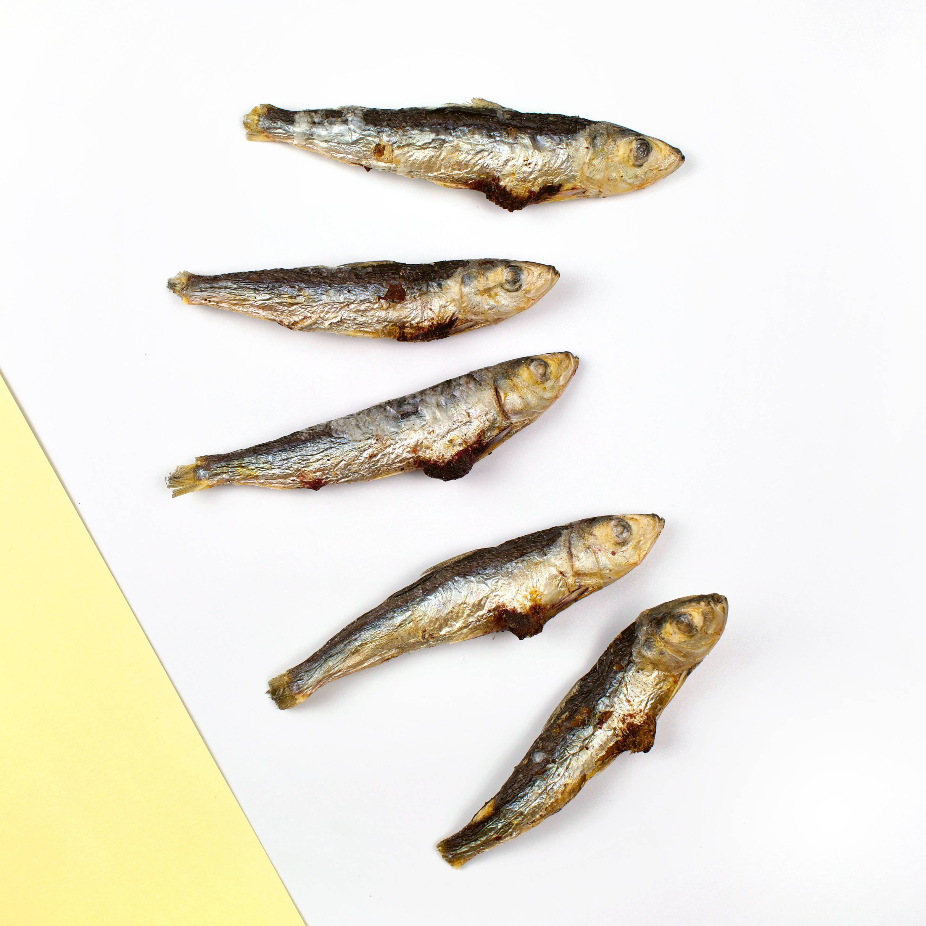 freeze dried sardine from wiggly babies